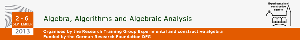 Algebra, Algorithms and Algebraic Analysis