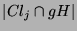 $ \vert Cl_j\cap gH\vert$