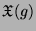 $ \mathfrak{X}(g)$