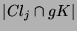 $ \vert Cl_j\cap gK\vert$