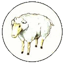../images/o_Schaf.gif