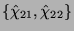 $ \{\hat{\chi}_{21},\hat{\chi}_{22}\}$
