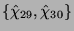 $ \{\hat{\chi}_{29},\hat{\chi}_{30}\}$
