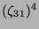$ (\zeta_{31})^4$