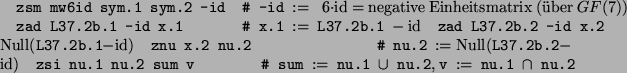 \begin{alltt}
zsm mw6id sym.1 sym.2 -id  ...