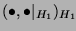 $ (\bullet,\bullet\vert _{H_1})_{H_1}\!$