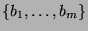 $ \{b_1,\dots,b_m\}$