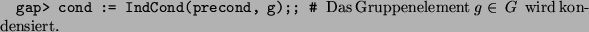 \begin{alltt}
gap> cond := IndCond(precond, g);;  ...