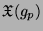 $ \mathfrak{X}(g_p)$
