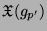 $ \mathfrak{X}(g_{p'})$