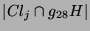 $ \vert Cl_j\cap g_{28}H\vert$
