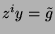 $ z^iy = \tilde{g}$