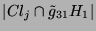$ \vert Cl_j\cap \tilde{g}_{31}H_1\vert$
