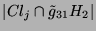$ \vert Cl_j\cap
\tilde{g}_{31}H_2\vert$