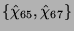 $ \{\hat{\chi}_{65},\hat{\chi}_{67}\}$