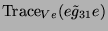 $ \operatorname{Trace}_{Ve}(e\tilde{g}_{31}e)$