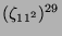 $ (\zeta_{11^2})^{29}$
