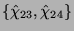 $ \{\hat{\chi}_{23}, \hat{\chi}_{24}\}$